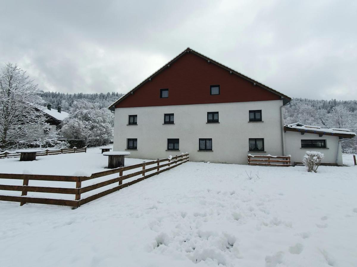 Appart Lievre 4 Etoiles Cornimont Exterior photo